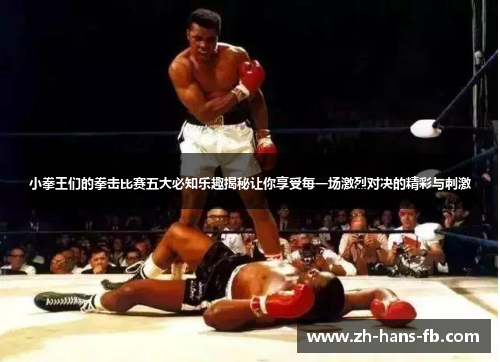 小拳王们的拳击比赛五大必知乐趣揭秘让你享受每一场激烈对决的精彩与刺激